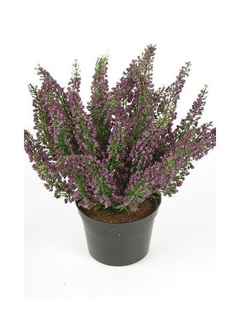 Lyngur 28cm Lilla